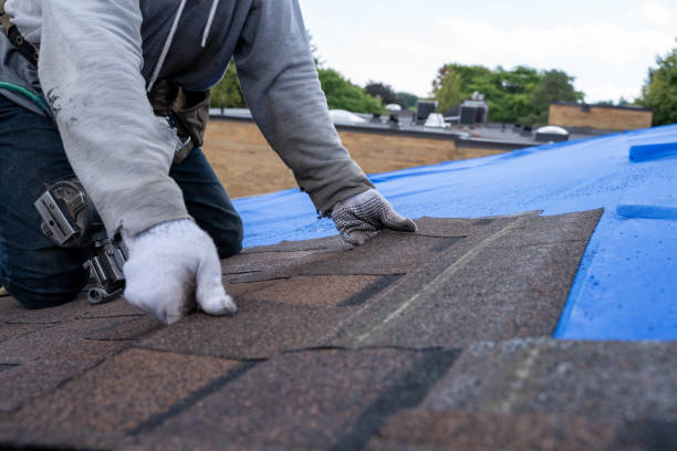 Professional Roofing Contractor in Haslett, MI